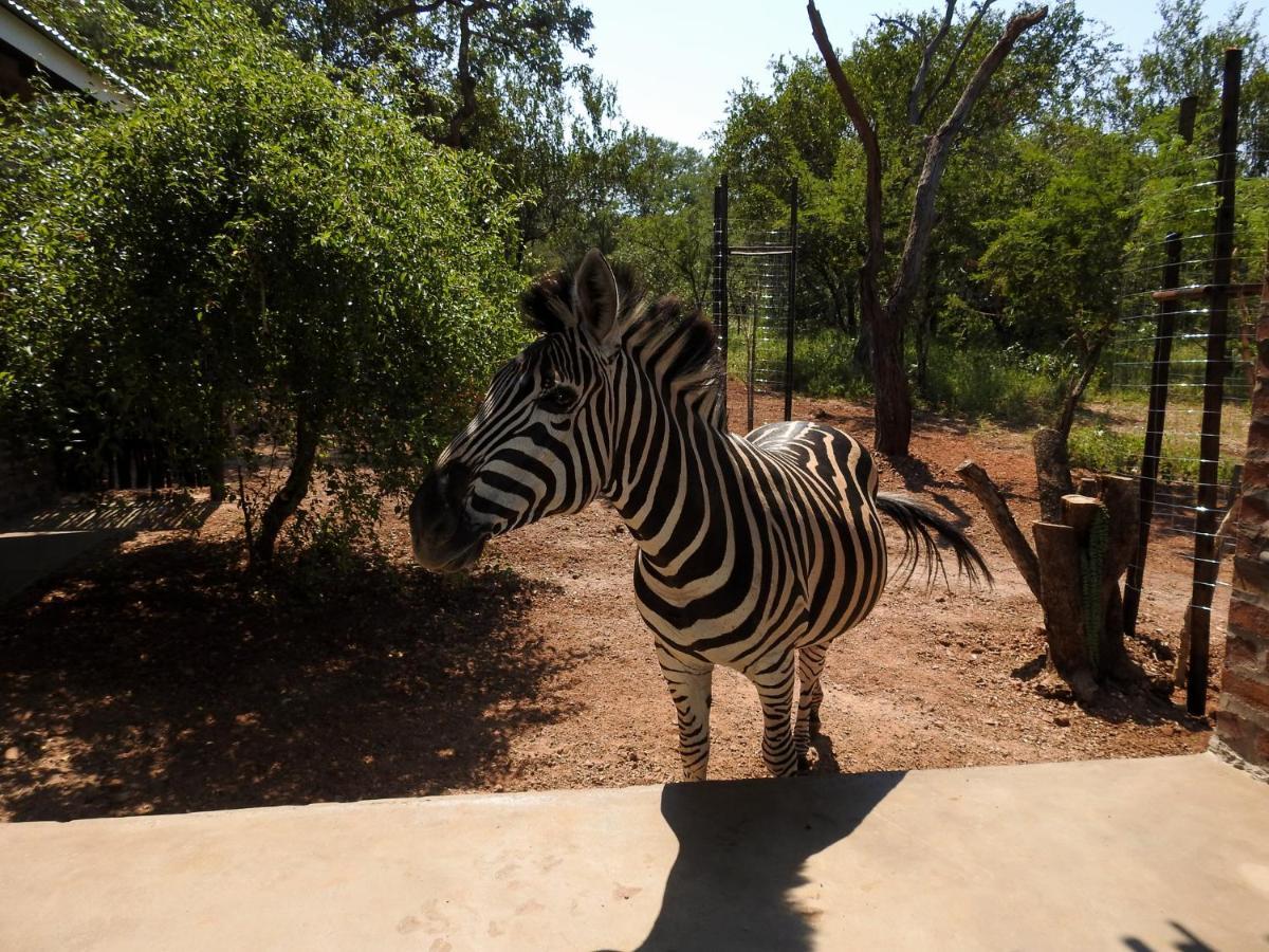 Kruger'S Retreat House & Kruger'S Rest Studio Marloth Park Luaran gambar